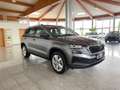 Skoda Karoq Selection TSI Grau - thumbnail 3