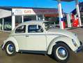 Volkswagen Kever Weiß - thumbnail 15
