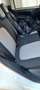 Fiat Panda 1.2 Lounge s&s 69cv my19 - thumbnail 2