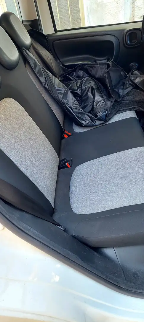 Fiat Panda 1.2 Lounge s&s 69cv my19 - 2