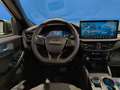 Ford Kuga Active X 2.5 Duratec FHEV 132kW Auto Verde - thumbnail 12