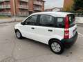 Fiat Panda 1.1 Active eco (active) NEOPATENTATI Bianco - thumbnail 5