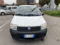 Fiat Panda 1.1 Active eco (active) NEOPATENTATI Bianco - thumbnail 2
