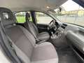Fiat Panda 1.1 Active eco (active) NEOPATENTATI Bianco - thumbnail 12
