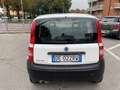 Fiat Panda 1.1 Active eco (active) NEOPATENTATI Bianco - thumbnail 4