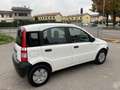 Fiat Panda 1.1 Active eco (active) NEOPATENTATI Bianco - thumbnail 6