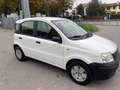 Fiat Panda 1.1 Active eco (active) NEOPATENTATI Bianco - thumbnail 1