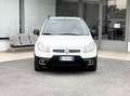 Fiat Sedici 1.6 Benzina 120CV 4x2 E5 Neo. - 2011 Weiß - thumbnail 2