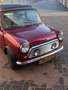 Rover MINI MINI Kensington Rot - thumbnail 15