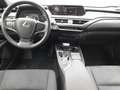 Lexus UX 250h Style Edition *Bi-LED*ACC*CAM*SHZ*CarPlay* Schwarz - thumbnail 15