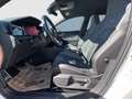Volkswagen Golf VIII 1.5 TSI R-Line ASSIST+R-Line+CARPLAY Weiß - thumbnail 10