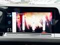 Volkswagen Golf VIII 1.5 TSI R-Line ASSIST+CARPLAY+LED+NAVI Weiß - thumbnail 19