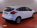 Ford Focus 1.5Ecoblue Trend+ 120 Wit - thumbnail 4