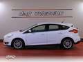 Ford Focus 1.5Ecoblue Trend+ 120 Wit - thumbnail 5