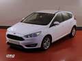 Ford Focus 1.5Ecoblue Trend+ 120 Bianco - thumbnail 3