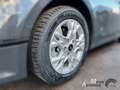 Kia Ceed SW / cee'd SW 1.5 T-GDI 140 PS DCT Vision + Komfort-plus-Paket Schwarz - thumbnail 4