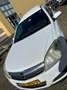 Opel Astra 1.9 CDTi H Van - Grijs Kenteken Blanco - thumbnail 28