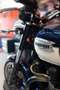 Triumph Bonneville SE 865 cc Modrá - thumbnail 5