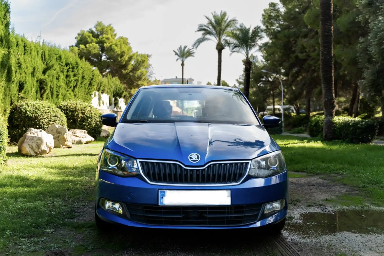 Skoda Fabia 1.0 MPI Active 55kW Azul - 2