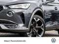 CUPRA Formentor 2.0 VZ 360°CAM ACC LM19 E-KLAPPE NAVI Gris - thumbnail 6