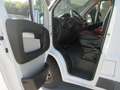 Fiat Ducato 2.3 MJET. 130 CV. L2H2 Bianco - thumbnail 4