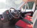 Fiat Ducato 2.3 MJET. 130 CV. L2H2 Bianco - thumbnail 3