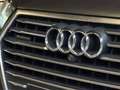 Audi Q7 Q7 3.0 TDI e-tron Quattro Tiptronic // Pano Gris - thumbnail 21