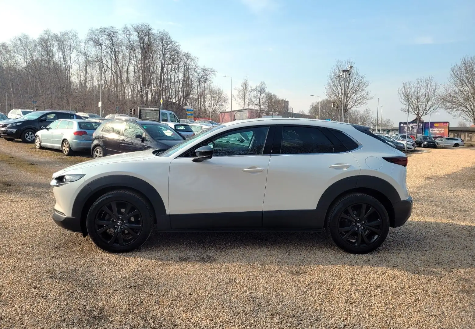 Mazda CX-30 Homura 2WD SKYACTIV-G*HUD*LMF*360°Cam*Top* Weiß - 2