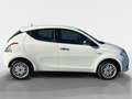 Lancia Ypsilon 1.2 69cv Gold Blanc - thumbnail 6