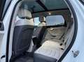 Volkswagen Touareg 3.0 V6 tsi eh Elegance tiptronic Blanc - thumbnail 11