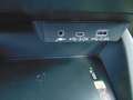 Subaru Forester 2.0ie Exclusive CVT LED Alu GSD AWD Grau - thumbnail 17