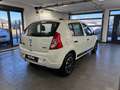 Dacia Sandero Eco Weiß - thumbnail 7