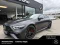 Mercedes-Benz AMG GT AMG GT 53 4M+ Night V8Style Magno HuD PerfAGA 21 Gris - thumbnail 1