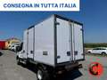 Ford Transit 2.0 TDCi L3 FRCX-20CON GRUPPO FRIGO CARIER RG-2020 Alb - thumbnail 5