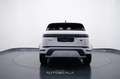 Land Rover Range Rover Evoque 2.0D I4 163cv AWD Auto R-Dynamic S Bianco - thumbnail 5