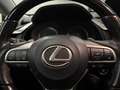 Lexus RX 450h 4WD President Line 1e eigenaar! Origineel nederlan Gris - thumbnail 22