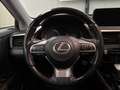 Lexus RX 450h 4WD President Line 1e eigenaar! Origineel nederlan Gris - thumbnail 21
