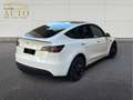Tesla Model Y AWD Performance Blanc - thumbnail 2