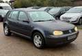 Volkswagen Golf Golf IV 1.6 Highline Grau - thumbnail 10