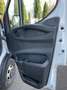 Iveco Daily cassonato IVA DETRAIBILE - thumbnail 7