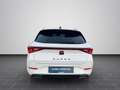 CUPRA Leon Sportstourer 1,5 TSI LED/NAVI/Sitzheizung v Weiß - thumbnail 6