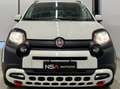 Fiat Panda 1.0 Firefly Hybrid City Cross S&S Bianco - thumbnail 2