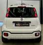 Fiat Panda 1.0 Firefly Hybrid City Cross S&S Bianco - thumbnail 5