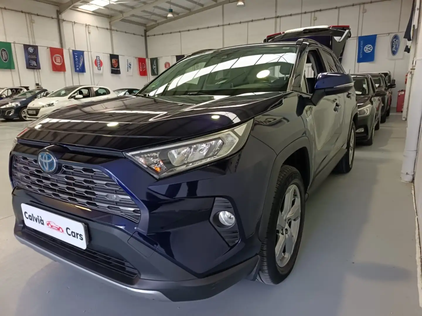 Toyota RAV 4 Todoterreno Automático de 5 Puertas Blau - 2