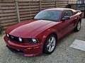 Ford Mustang GT/CS 4.6L V8 Roşu - thumbnail 5