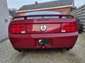 Ford Mustang GT/CS 4.6L V8 Roşu - thumbnail 4