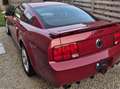 Ford Mustang GT/CS 4.6L V8 Roşu - thumbnail 6