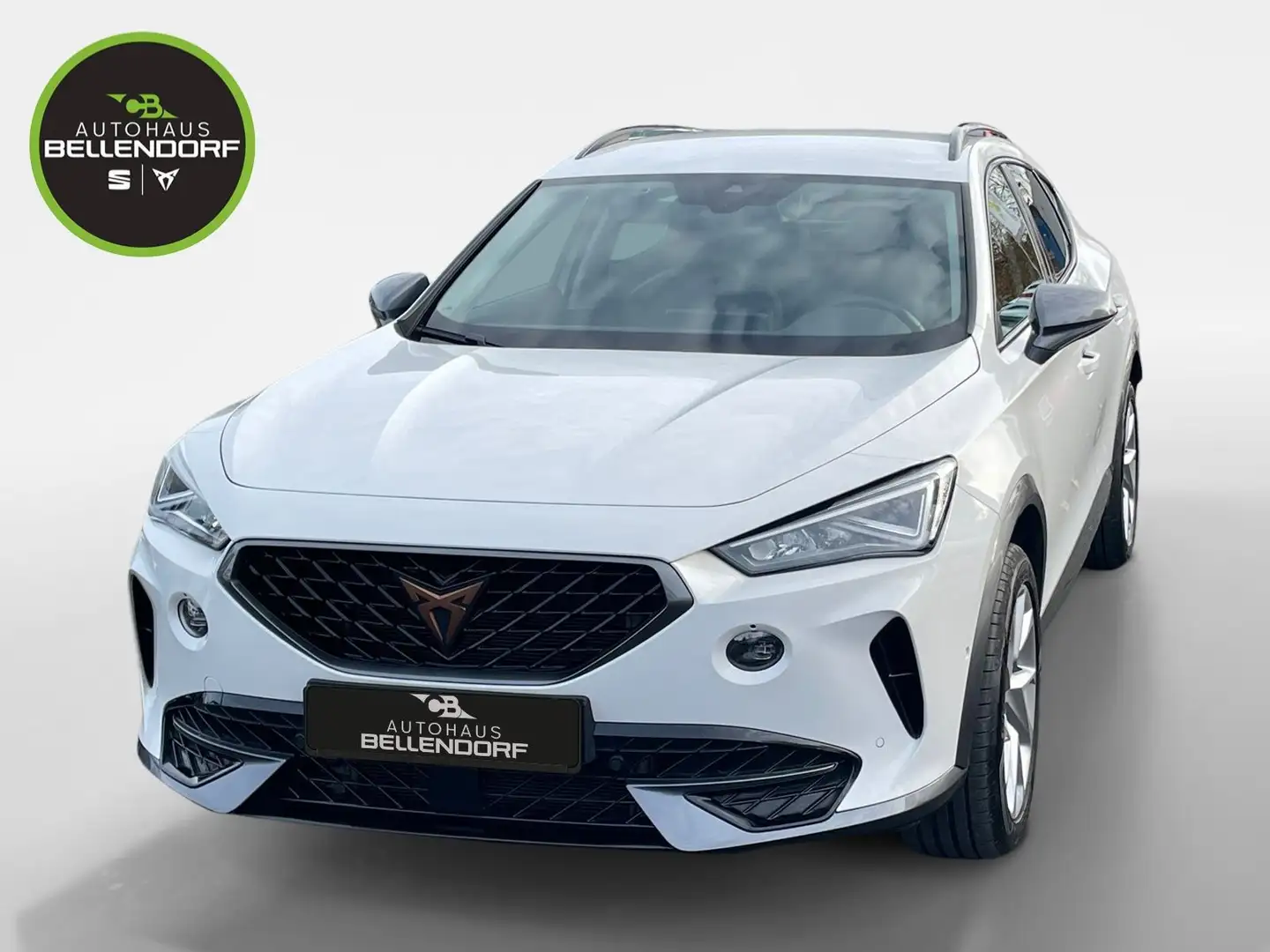 CUPRA Formentor 2.0 TDI 6 Gang Navi Fahrschulwagen Weiß - 1