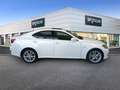 Lexus IS 220d Luxury Cambio 2.4 - thumbnail 5
