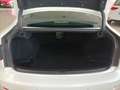 Lexus IS 220d Luxury Cambio 2.4 - thumbnail 8